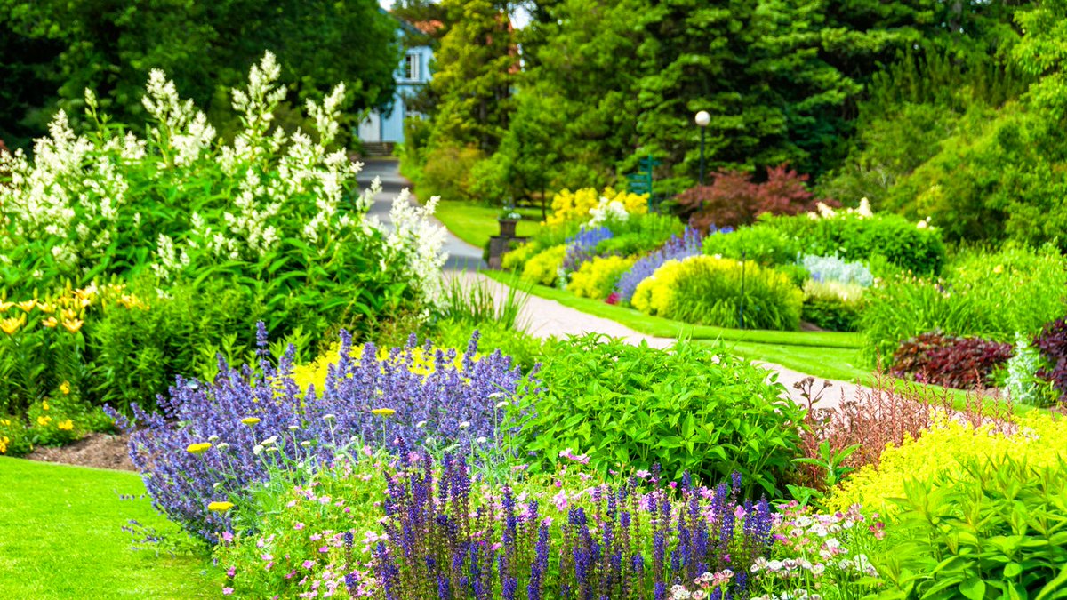 SupplyDave's tweet photo. Though many may be used to a seasonality when it comes to their plants, there are some flowers that bloom all year! 🌼

#Gardening #Flowers #FlowersThatBloomAllYear
 https://t.co/TksVtrqLbo https://t.co/ASblWNvxPQ