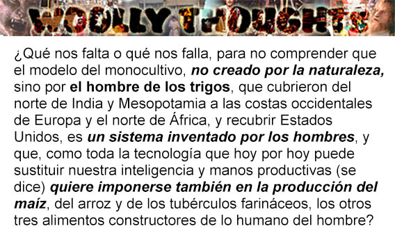 Professor DoRight® (@ayatolete) on Twitter photo 