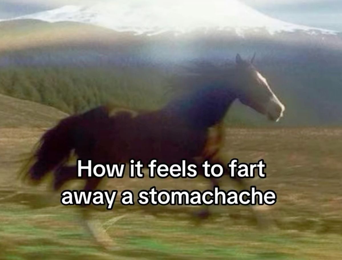 wildtiktokss's tweet image. 