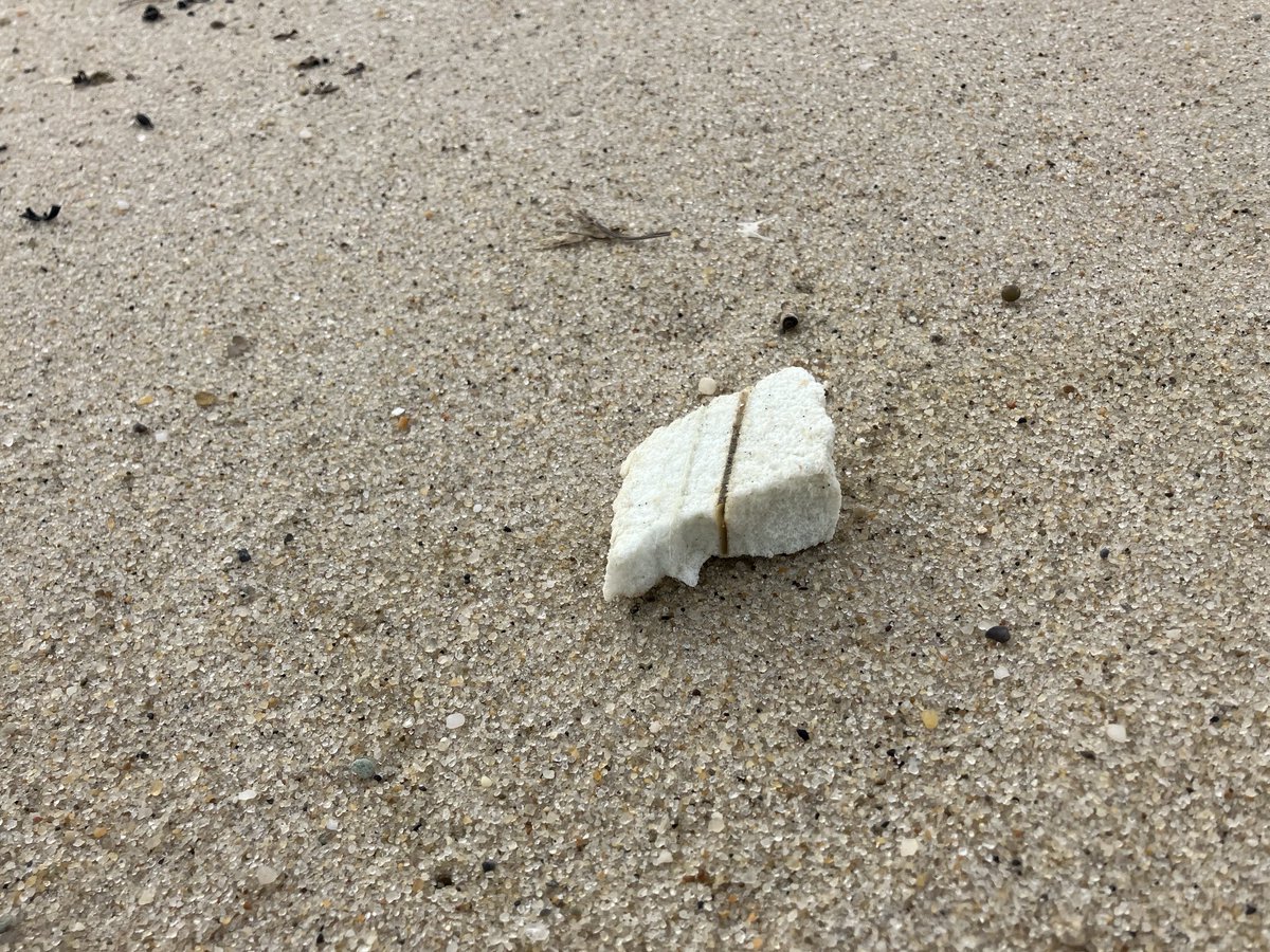Toxic pollution is washing up on Nantucket beach today. Did another Vineyard Wind blade collapse? #mapoli #whales #nantucket ⁦<a href="/DougBurgum/">Doug Burgum</a>⁩ ⁦⁦<a href="/climate/">Bloomberg Green</a>⁩ #offshorewind #POTUS