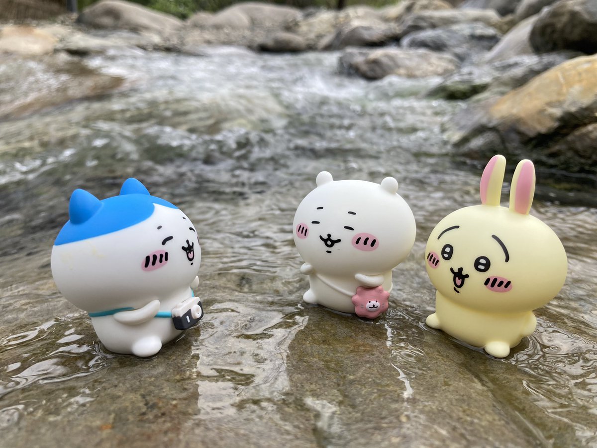 sinoun99's tweet image. 看小八拍照