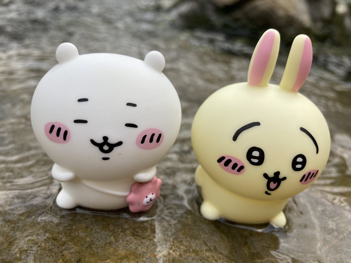 sinoun99's tweet image. 看小八拍照