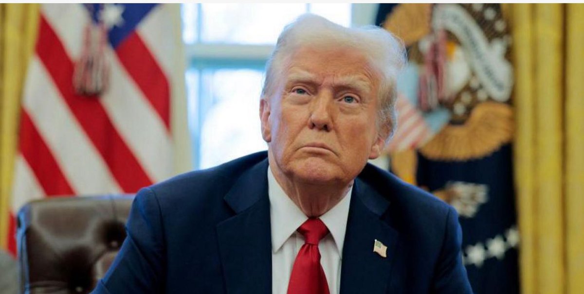 The Daily Export tweet media