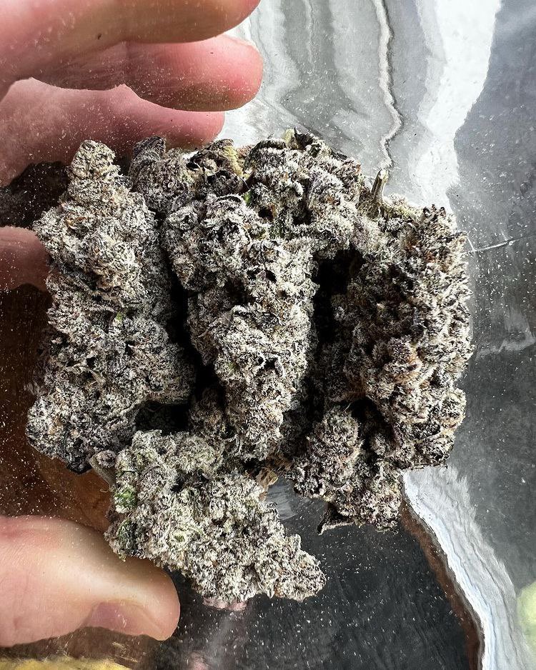 houston__420's tweet photo. Don’t be mad….. just grab that jar and 🚀🚀🚀!!! #cherrycosmo #itsalifestyle https://t.co/YLo7DE0rYW