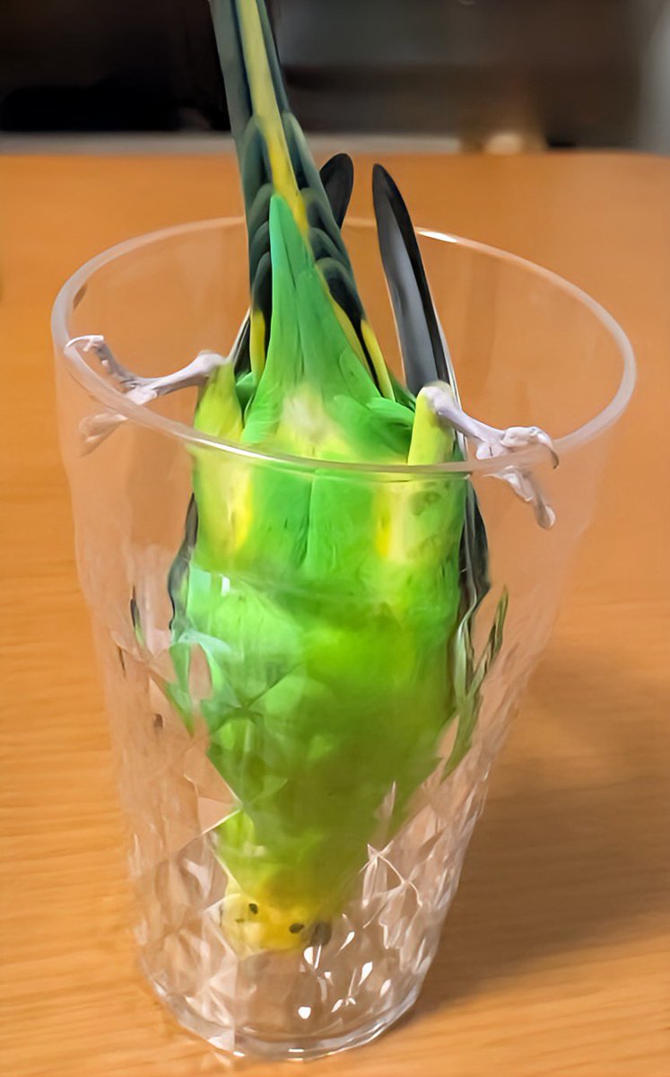 水なら水入れに
たくさんありますよ〜🙃