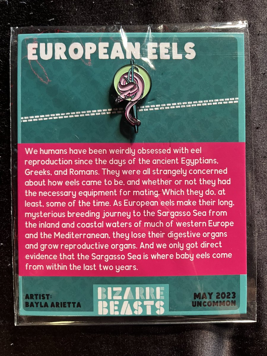 Rowbehr1's tweet image. This was the first episode we watched from the show. Had to purchase the pin happy to have found it. @BizarreBeasts @sailorlilamoon
