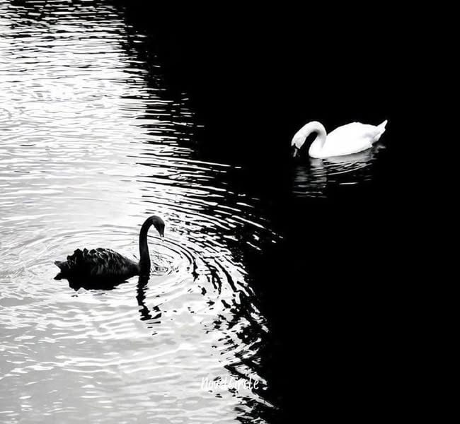 No one is
perfect.
The one you love
chooses only the good
#LOVE