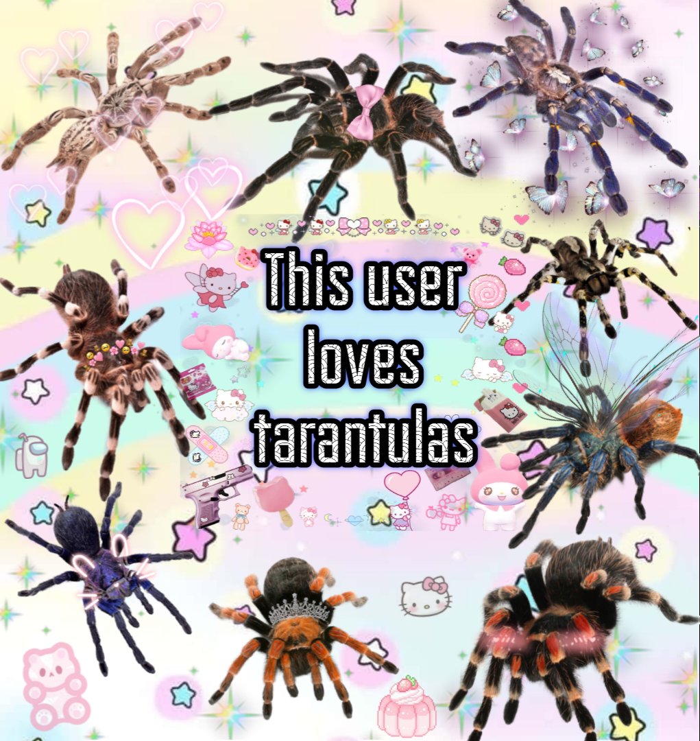 iridescent_bug's tweet photo. made a meme 🕷🫶 https://t.co/1lPDku16of