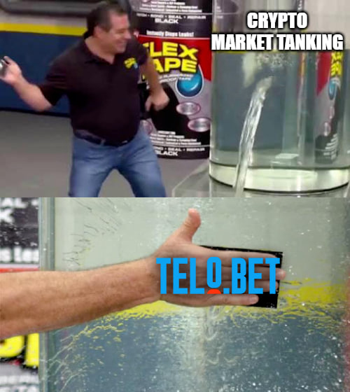 telobet's tweet photo. 🎲 The market may be down but our wins are always up! 💎💰

HODL strong. Stay winning! https://t.co/AxmTMT4Xvg