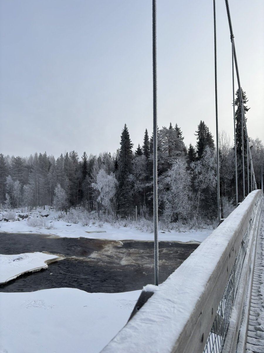 maylispa's tweet photo. 🇫🇮🌨️🛷☃️ https://t.co/HSO8Zj86lx