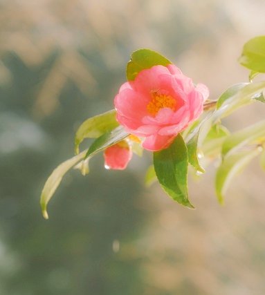 おはようございます(^O^)(💖ᴗ͈ˬᴗ͈)ﾍﾟｺﾘ｡:.ﾟஐ⋆*🌷🌱🌸🌿🌼☘️🌈😘😘😘❤❤❤❤✨✨✨🌈💓⋆͛♡⋆͛🍬🍬〜♪。.:＊・゜♪。.:＊・゜💗💕💖💞💝💘💓🥰💕💕♪❤️🥰😘😍😚🫶🏻🎀🩷🌸🌷🌼🌷🌸ꕤ୭*(*˘︶˘*).｡.:*♡𓂃 𓈒𓏸◌🍀☃❄.｡