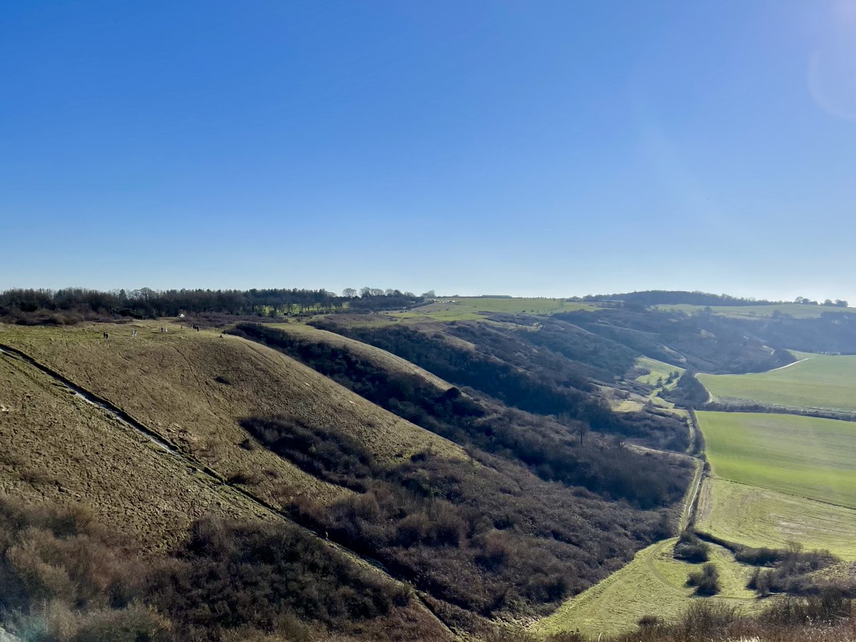 Rachel Phillips 🎄 tweet media