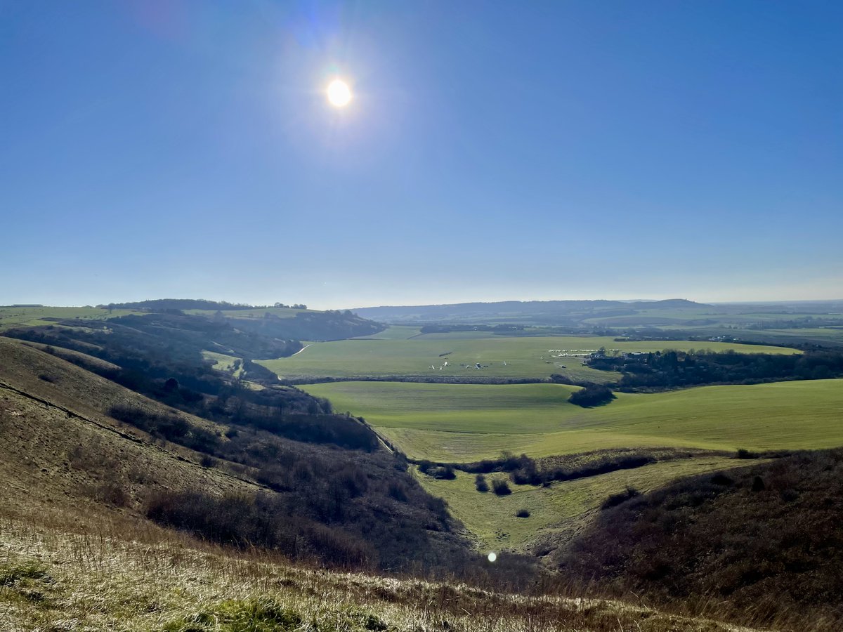 Rachel Phillips 🎄 tweet media