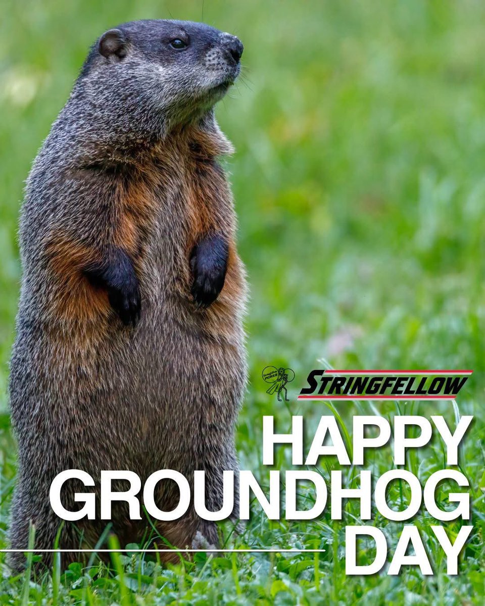 StringfellowInc's tweet image. It's Groundhog Day! Will we see six more weeks of winter or an early spring? 🌸
The furry little forecaster has a big job ahead of him today! What’s your prediction for today? Let’s see if the groundhog agrees! 🧐