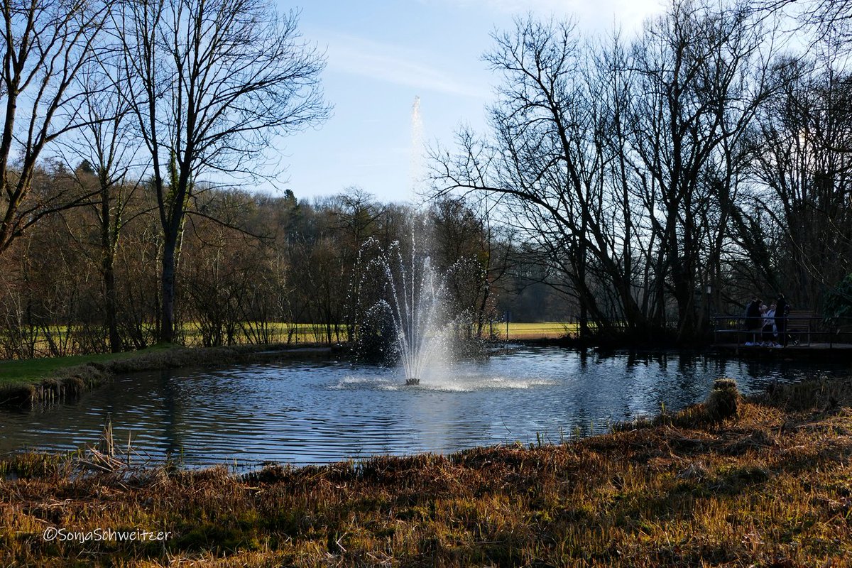 HessenSonja5767's tweet photo. Im Kurpark von Bad Salzhausen........................... #Wetterau #Kurpark #Nidda #BadSalzhausen #Park #Hessen #Oberhessen #Wetterau #Germany https://t.co/XRWoCXZM3B