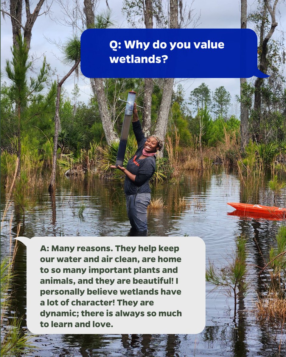 ufWetland's tweet image. Happy #WorldWetlandsDay! Today, @itsAJRenee shares why wetlands are important to her, some of her favorite memories in these ecosystems, and how you can join in celebrating wetlands today.