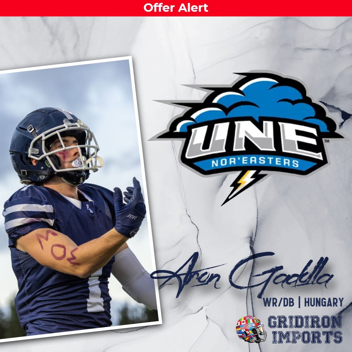 Gridiron Imports Foundation tweet media