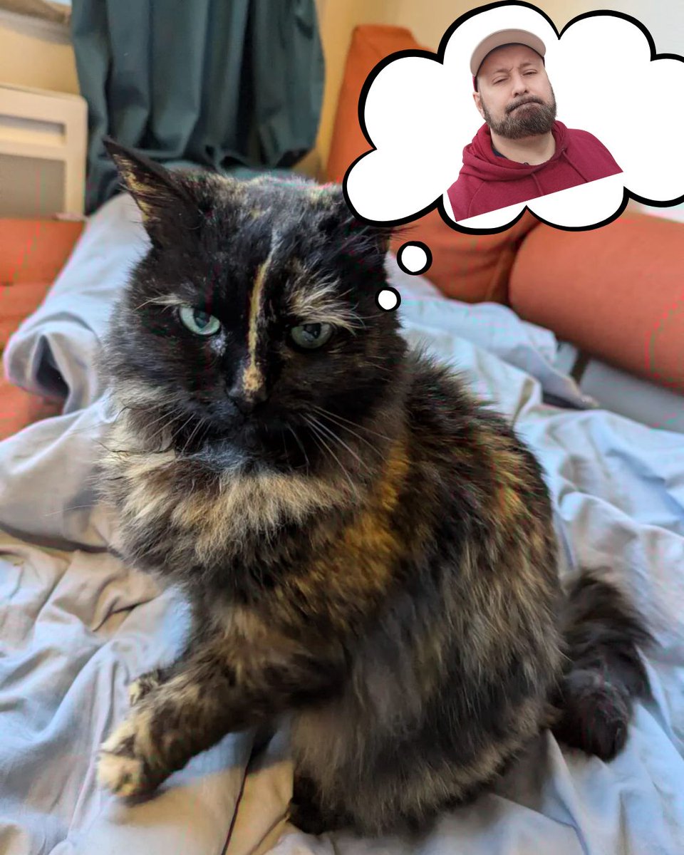 SCARCEXL's tweet image. Résultat de 4 jours de tenue de stand au festival de la BD d'Angoulême...