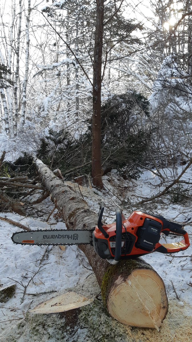 ShipwreckdSailr's tweet image. Spent #GroundhogDay in the ❄snowy❄ #AcadianForest🌲 with my #Husqvarna 540i XP Battery 🔋powered electric ⚡ Chainsaw 

A perfect day and time of the year to cut #Firewood and spend some time in Natures Cathedral

#ShubenacadieSam #NSWinter #Silviculture #raketheforests #OOTT