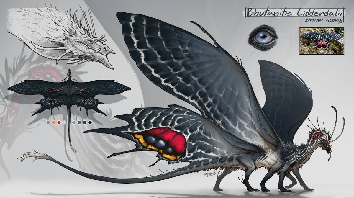 Unravy_'s tweet photo. Red, silver, and gold. Some of my most recent mothdakes ✨🌿 https://t.co/wUbnMJvBcS