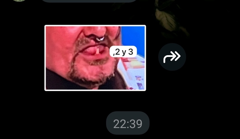 Estherchus tweet media