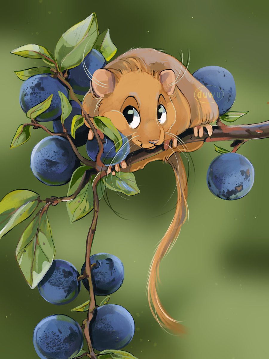 justduwu's tweet photo. Throwback to this little photo study I did—a tiny mouse with some plums! 🍑🐭✨ Still love the soft colors and cozy vibes. What do you think? #artstudy #illustration https://t.co/aSjM024fjC
