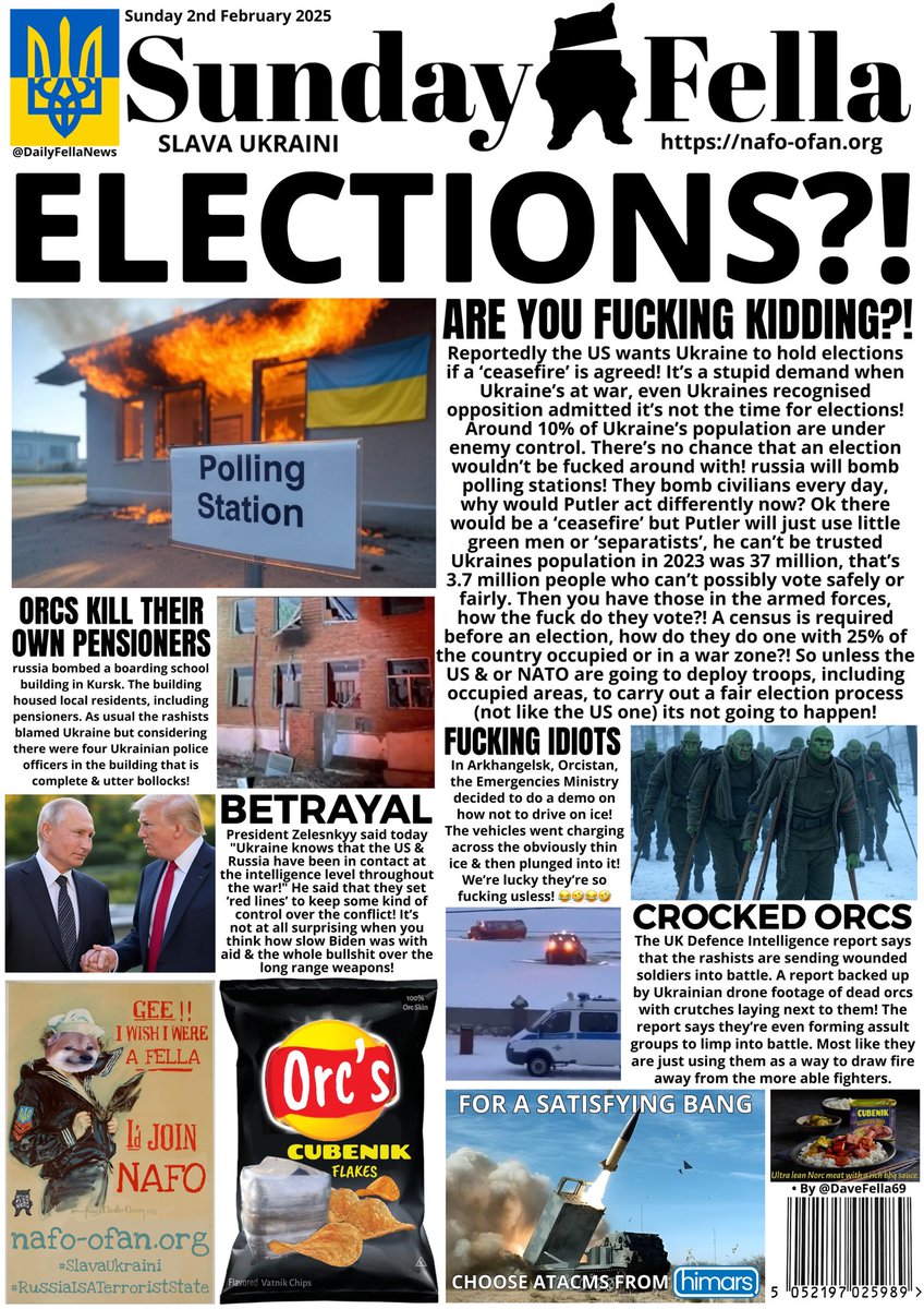 DAILY FELLA tweet media