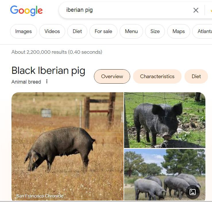 Rob201Banks's tweet photo. @JesuitWorld Marranos" were so-called by the Templars/Jesuit-Order because they were likened to black pigs, as they were Israelites, black African people. These folk were persecuted during the crusades and inquisitions and had to hide their beliefs.. They were the actual "crypto-Jews". https://t.co/CaMFzjqOJd