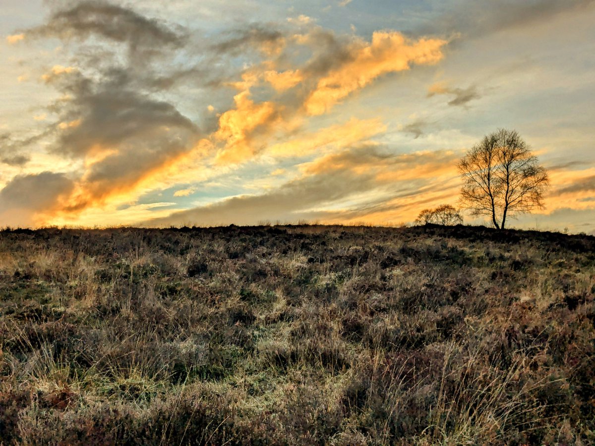 CloudBusiness9's tweet photo. It was a fine early evening to be out on the #mountainbikes in the forests of #Staffordshire, so many deer in the forest tonight π¦ #ebike #ebikes #Whytebikes https://t.co/lVZIZhCVky