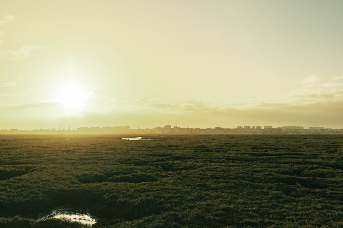 En Huelva, si, marismas, también, al fondo Punta Umbría