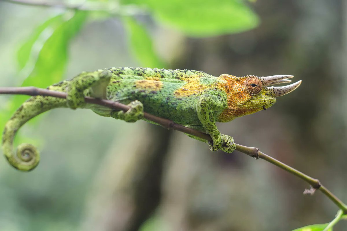 Atlantic AI Labs tweet media