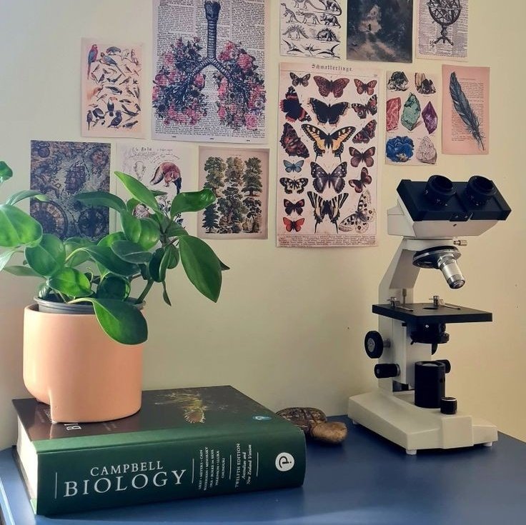 dayzstudy's tweet image. ⌕ search: #collegetwt | #studytwtbr 

- Mari, ela/dela, 20
- Lic. Biologia 1/10

   ♡ིྀ     livros, música e episodios pilotos 

♡ | ↻ = moots