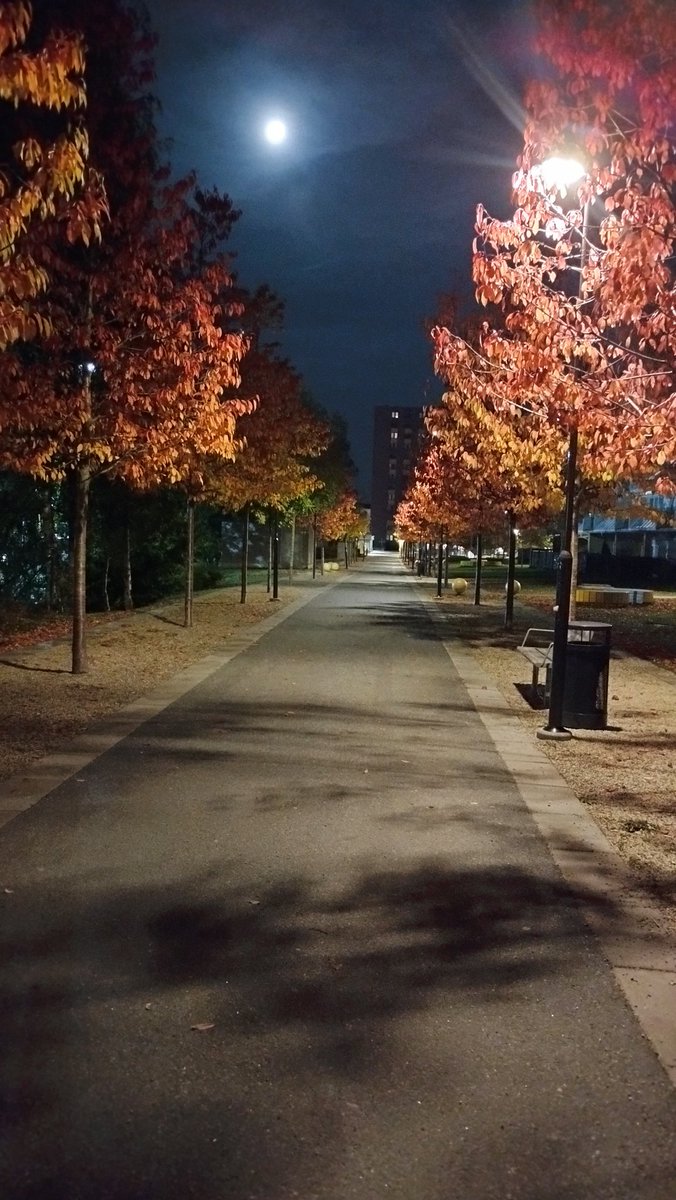 Buenas noches mundo! ❤️