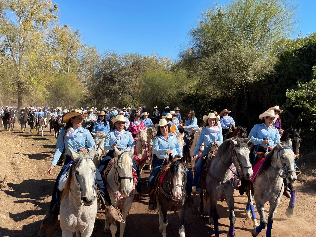 José Ochoa tweet media