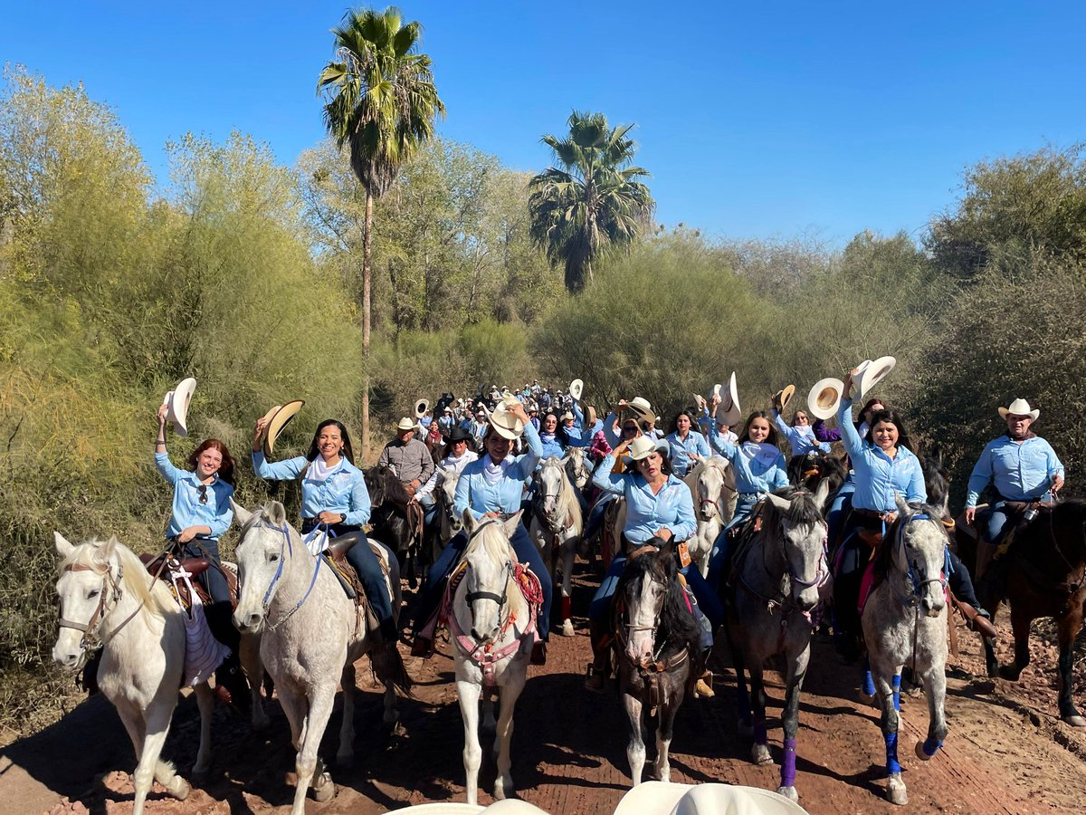 José Ochoa tweet media