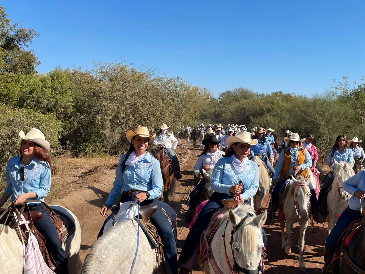 José Ochoa tweet media