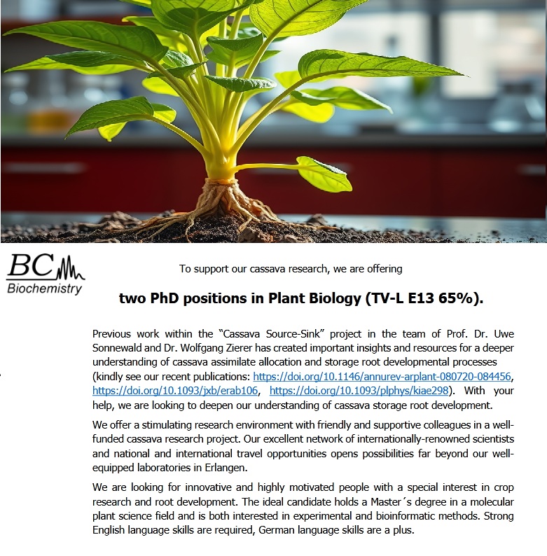 agristok's tweet photo. 📌 2 Two PhD Funded Positions in Plant Biology 🌱 at Friedrich Alexander University Erlangen-Nürnberg, Germany 🇩🇪, See details at: https://t.co/jDK3DtIuLt via @agristok