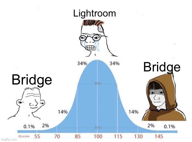 Peter Dawson (@peter_d_photo) on Twitter photo 