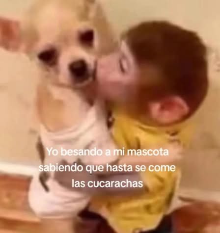 Dilo con perritos (@diloconperritos) on Twitter photo 