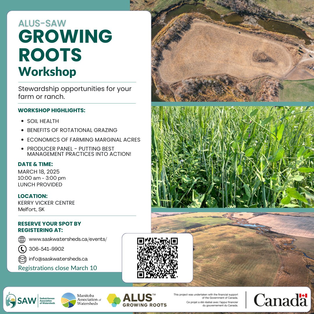 SAWatersheds's tweet photo. Join us March 18 for an informative and interactive workshop! ALUS-SAW Carrot River Watershed Project is hosting the “Growing Roots Workshop”.

For more info or to register, use the QR Code or visit https://t.co/eDqQNnMf2A

#ALUS #SaskAg #GrowingRoots https://t.co/2ihsLMfumd