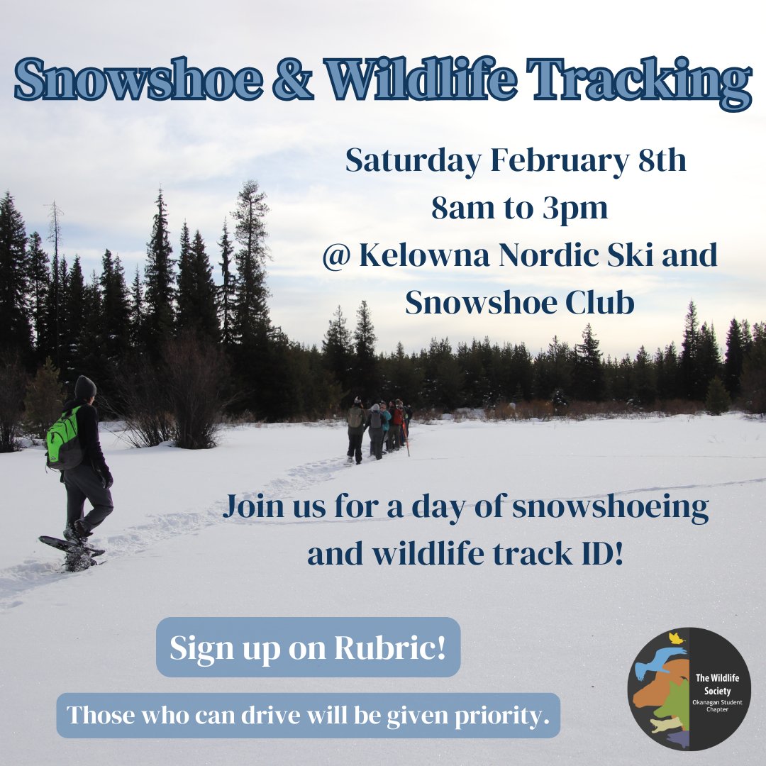 Hi Wildlifers, come join us for a fun day snowshoeing and identifying wildlife tracks!

Link in bio to sign up on Rubric!

Stay safe and stay wild! 🐇❄️🐺

#thewildlifesociety #ubc #ubco #ubcokanagan #wildlife #suo