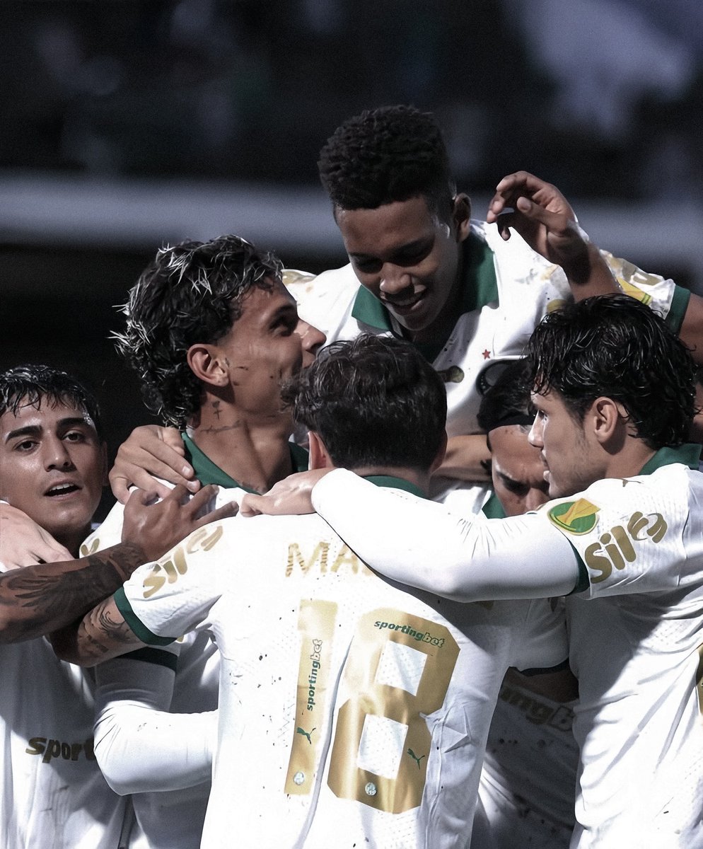 picmeiras's tweet image. 