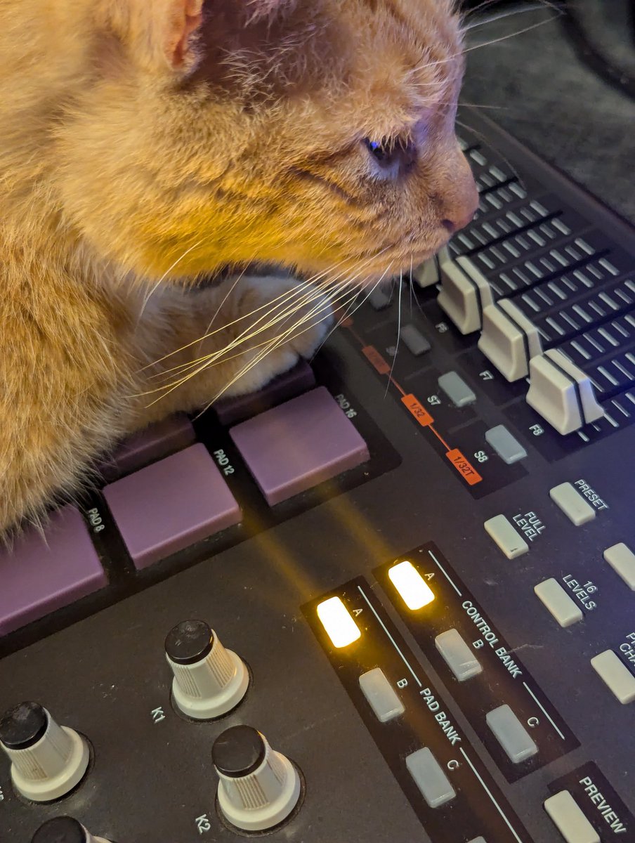 🇲🇺🇯🇲 tweet media