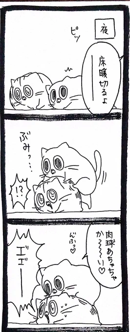 【猫】肉球避難 