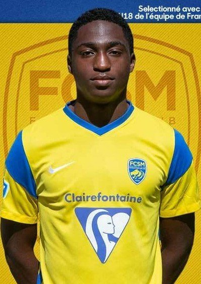 Donyphan tweet media