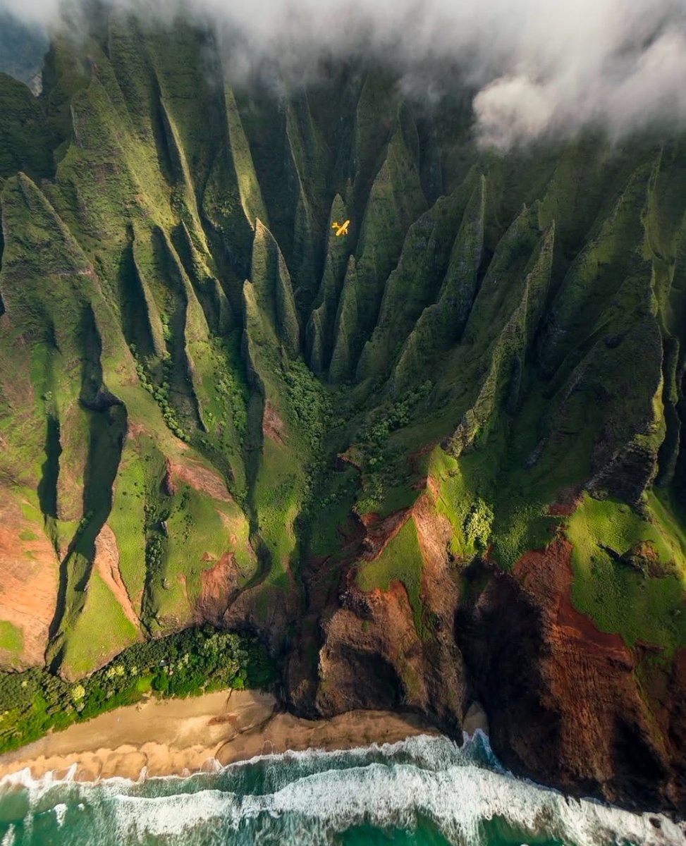 earthcurated's tweet image. Coastline of Hawaii 🍃