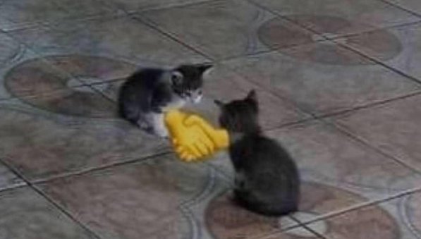 Annie.✨ tweet media