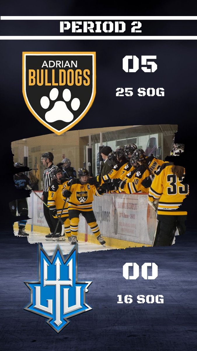 Adrian College WD2 ACHA Hockey (@adrianwd2hockey) on Twitter photo 