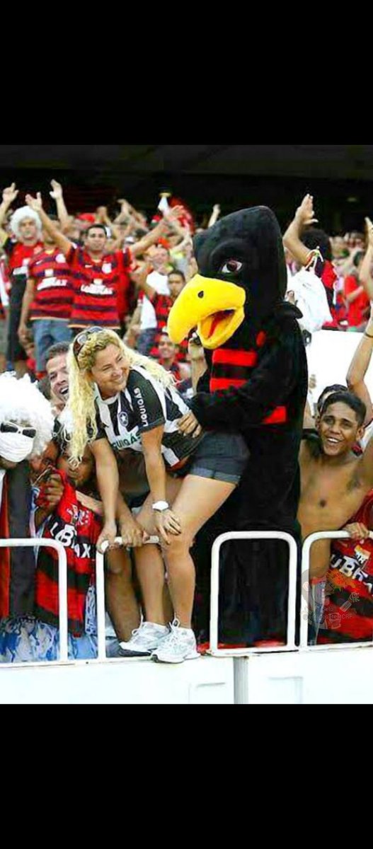 moraes1045010's tweet photo. @Noitedecopa Quando o assunto é decisão a Lessie peida https://t.co/Ay43lUQZA7