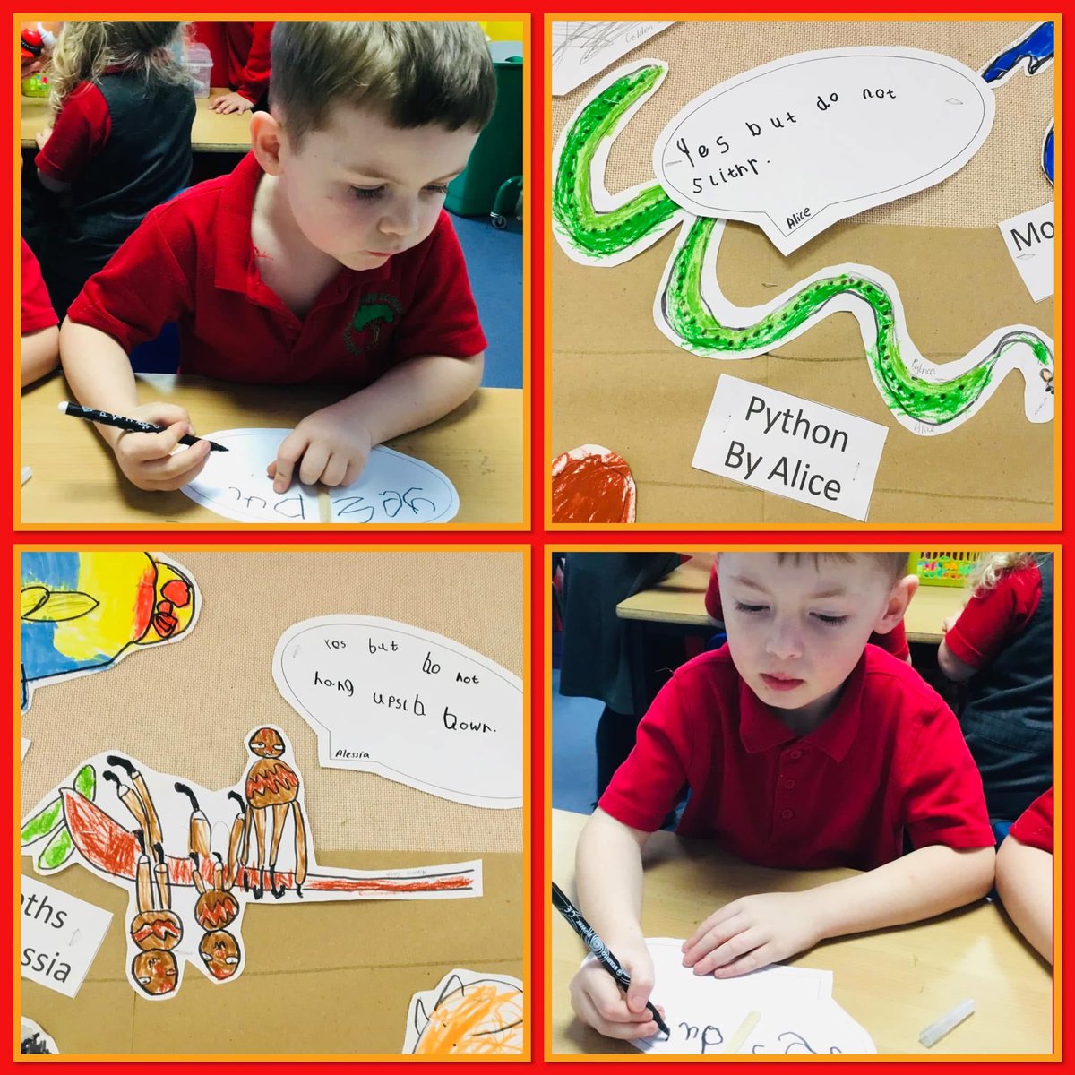 Beechhyde School tweet media